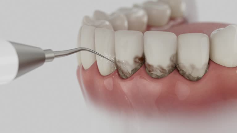 Reliable Dental contractor in Derma, MS by Dentist Open Now